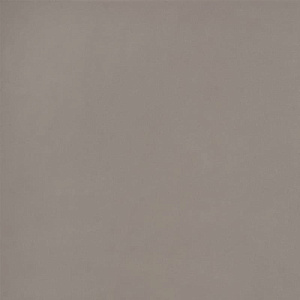 ELEMENTS DESIGN TAUPE NATURAL 120X120 R9